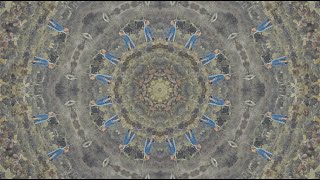 Alas The Sun - Feels Honey-Laced (Official Lyric Video) @taxigauche