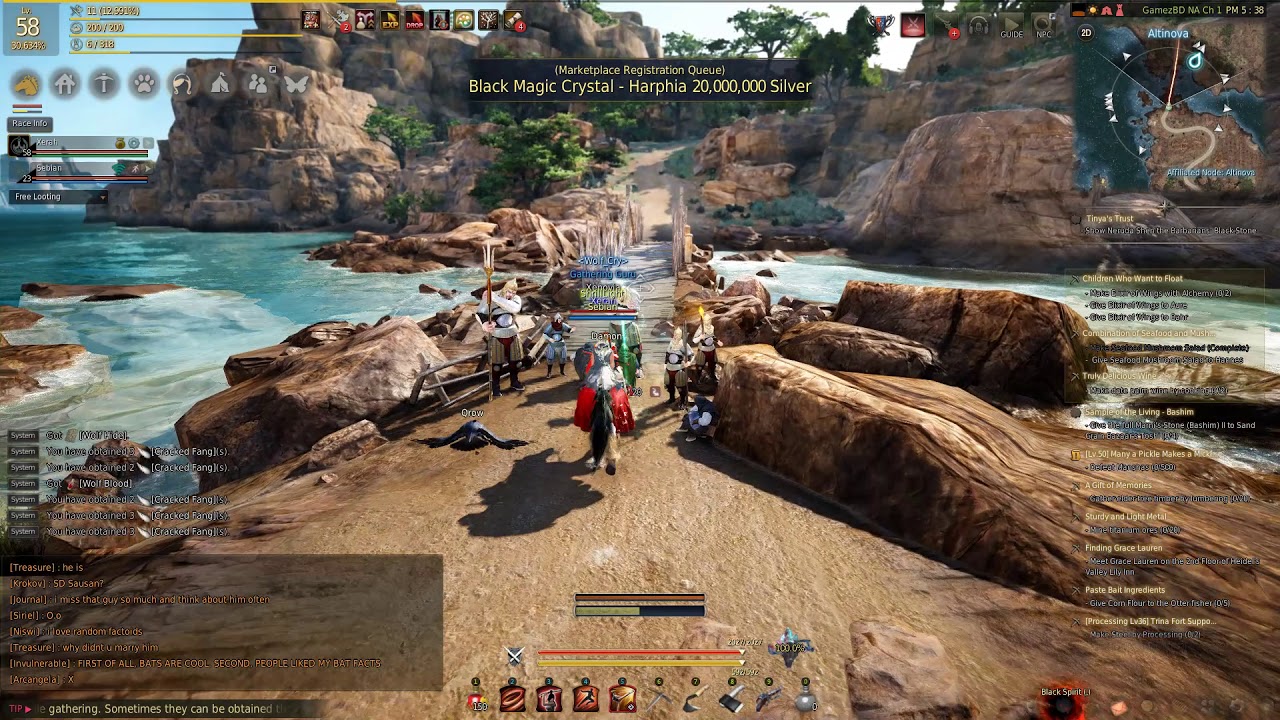 Eleventh Level Up Video Guide for Black Desert Online! YouTube