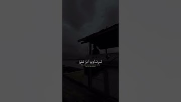 سورة النساء القارئ الشيخ علي جابر لا خير في كثير من نجواهم ♥️😴