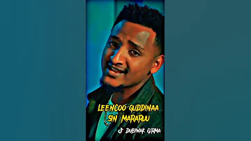 LEENCOO GUDDINAA New Oromo Music New Oromo TikTok Video Oromoculture Shukrijamal Oromomusic 