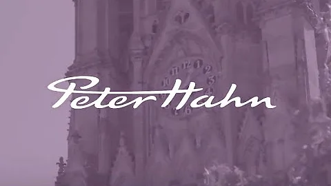 RTB House - Peter Hahn Case Study