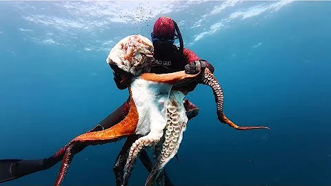 We Caught A New World Record Octopus (Catch &amp; Cook)