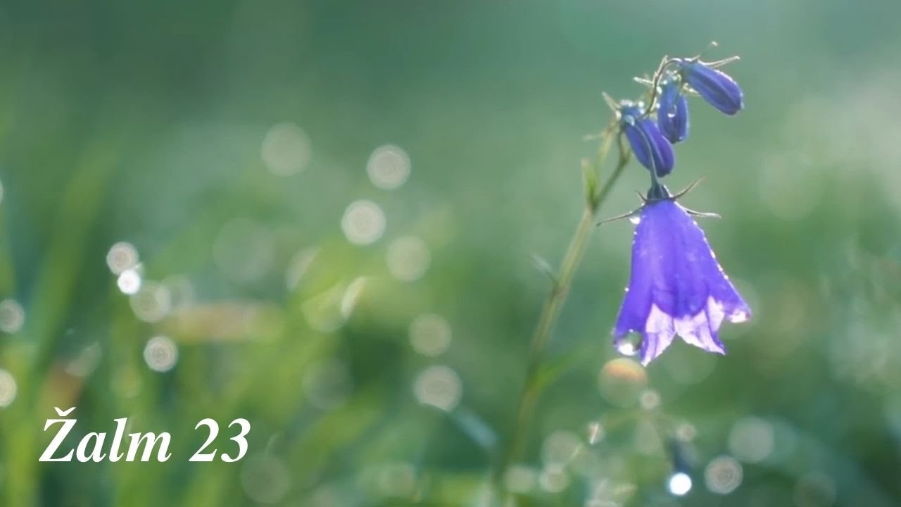Žalm 23 | Křesťanské písně