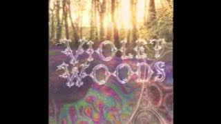 Violet Woods - Electric Fascination