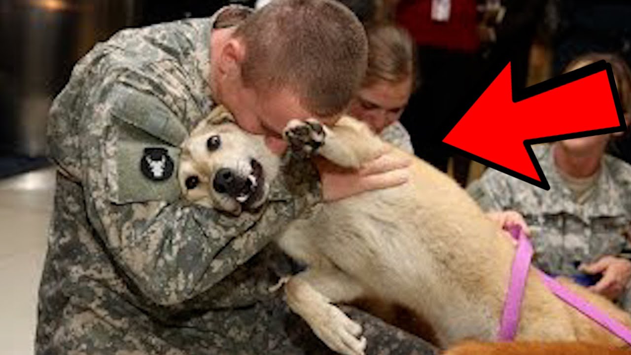 Soldiers Coming Home To Dogs Emotional Moments