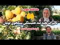 بند سنگجوی لومان چه تأثیری بر زراعت قریه شاجوی قلندری دارد بند سنگجوی لومان چه تأثیری بر زراعت قریه شاجوی قلندری دارد