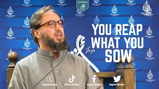 You reap what you sow - Moutasem Al- Hameedy