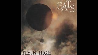 Watch Cats Hey Baby wont You Come Out Tonight video