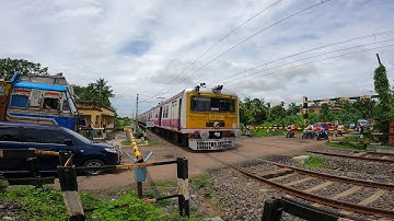 Railroad jam Speedy Colorful Emu Furiously Cross Over Busy Railgate