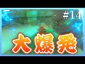 【ティアキン # 14】リンク、バクダンに散る【女性実況】
