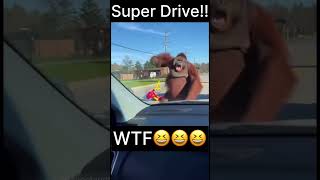 These Drivers Should Never Drive Again 💀😂