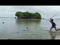 Selalu hati-hati Di bawah pulau ini Sangat mengerikan
