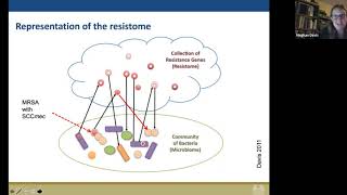 One Health, Global Health, and Antimicrobial Resistance