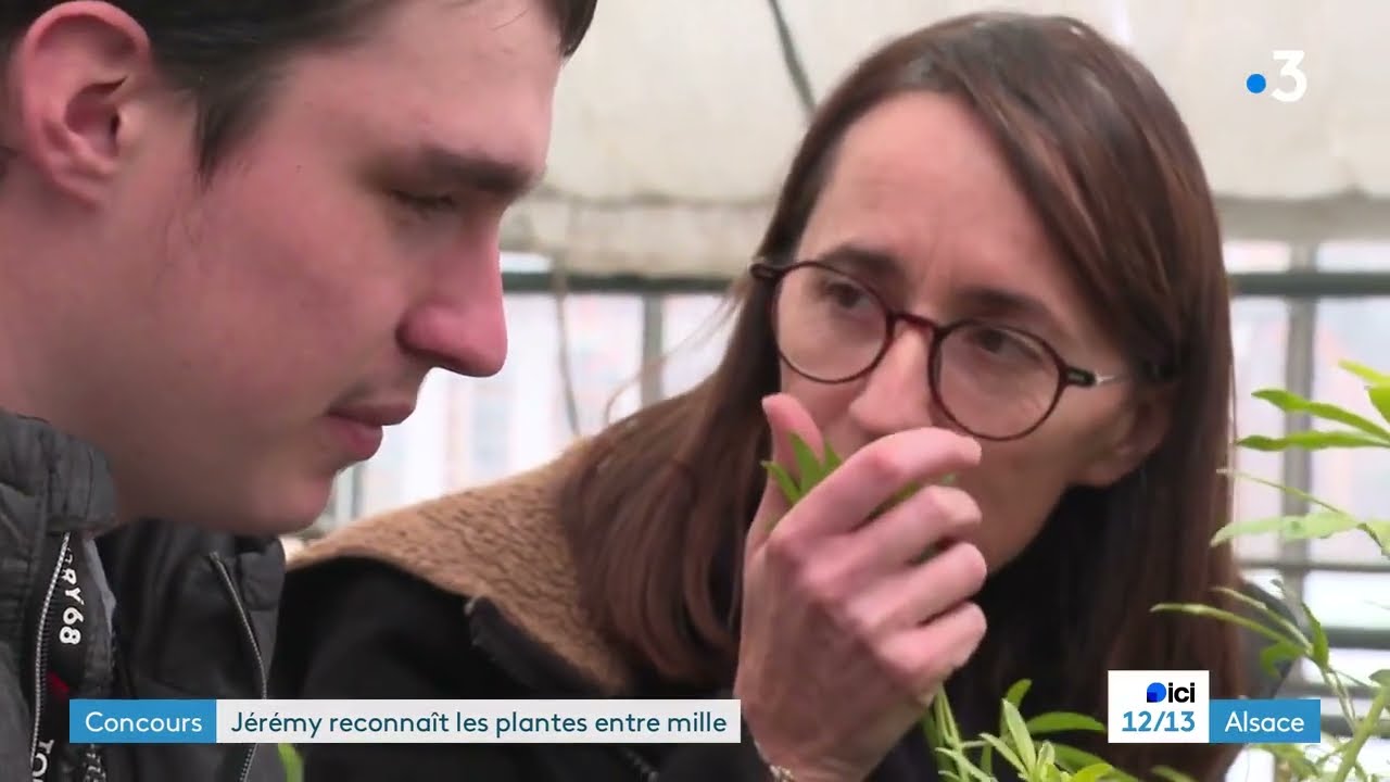 ICI 12-13  - France 3 Alsace - 5/12/2023 - Jérémy Rolling connait les plantes entre mille
