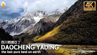 Daocheng Yading, Sichuan The Most Beautiful Tibetan Sacred Mountain in China (4K UHD)