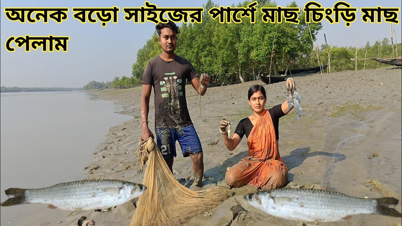 আজ নদীতে গিয়ে বড়ো সাইজের পারশে মাছ ও চিংড়ি মাছ ধরলাম || Nandita Sundarban life