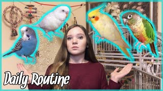 DAILY ROUTINE With All My Crazy Birds!! *what it’s like to own parrots*