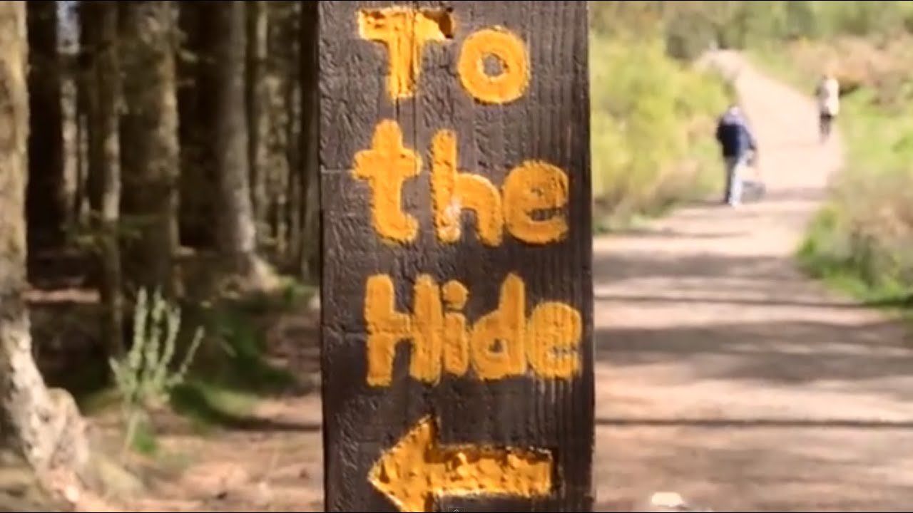 Esperi - Hide [OFFICIAL VIDEO]