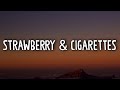 Troye Sivan - Strawberry & Cigarettes (Lyrics)