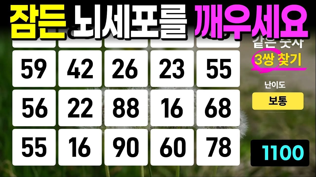 잠든 뇌세포를 깨우세요 - 같은숫자찾기, 치매예방퀴즈, 치매예방활동, 숫자퀴즈, 숫자찾기, 단어퀴즈, 치매테스트