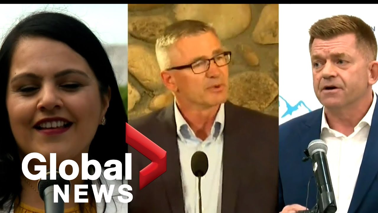 Race to become Alberta's next premier takes shape with crowded field