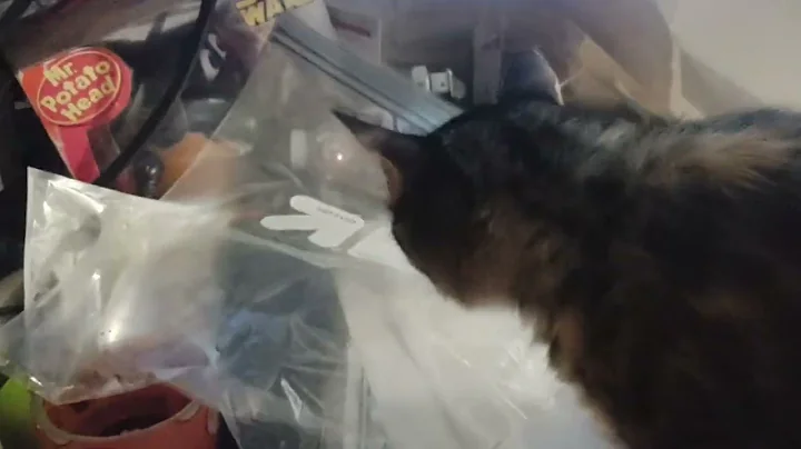 epyc storage server build setup