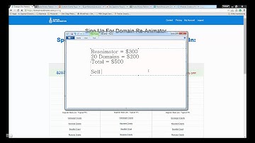 Domain Reanimator Review: How I Cover 75-100% of My PBN Cost