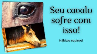 RESPEITE OS HÁBITOS DO SEU CAVALO | Higiene equina