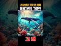 바다의 거인 고래 알아볼텨?
