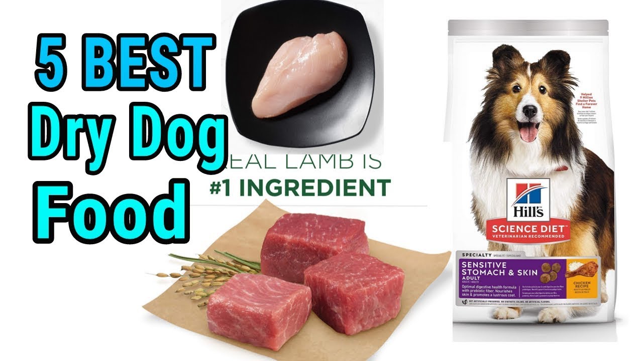 5 Best Dry Dog Food 2019 - YouTube