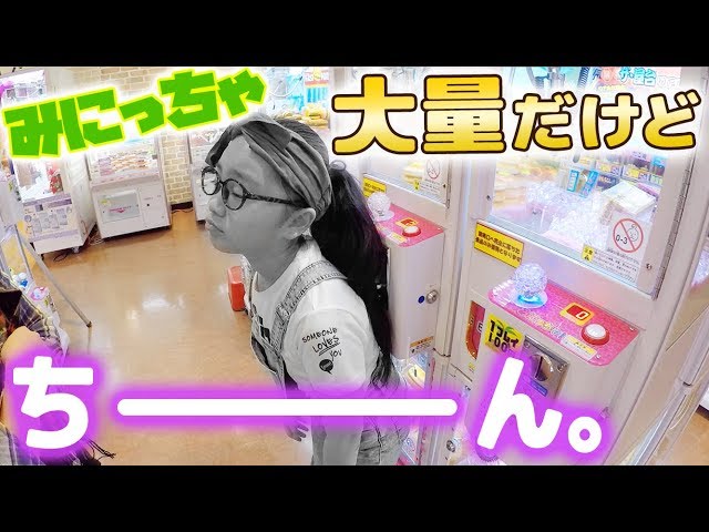 今日の運は？確率機のミニクレーンゲームが大量!いろいろやってみた