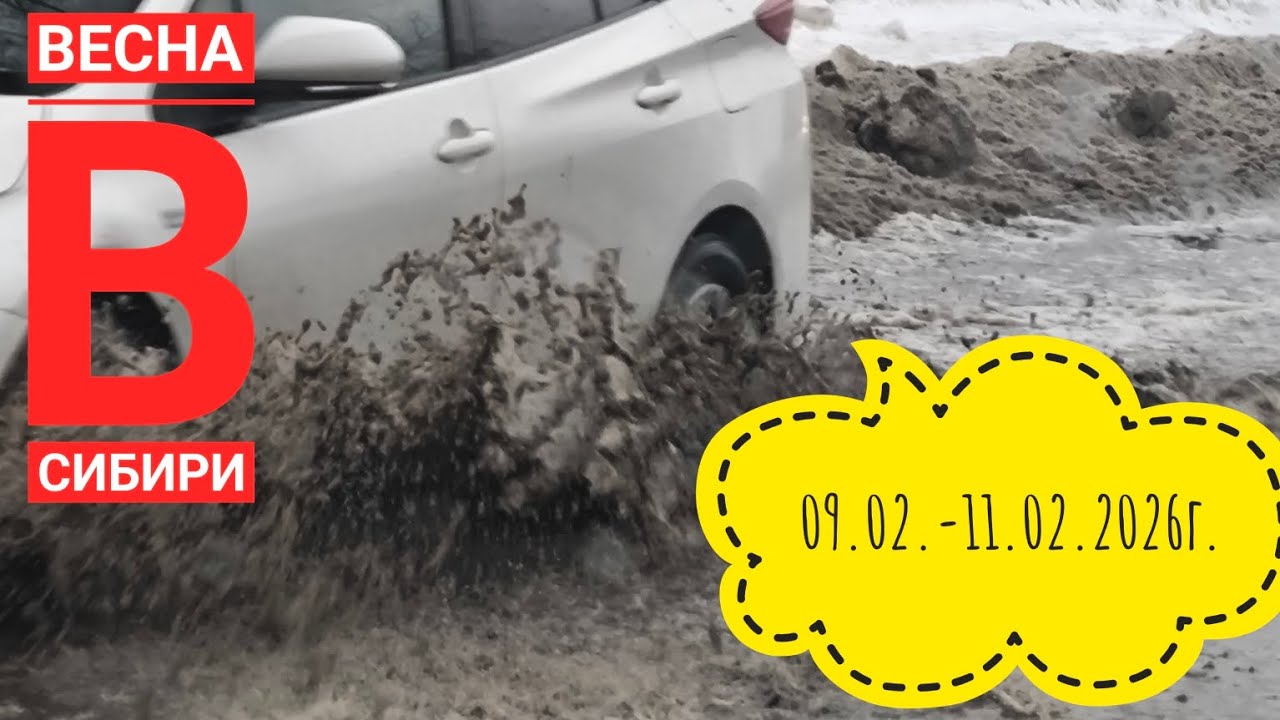 Спасаем рассаду/ Спасаем собаку#влог#зима#этожизнь#жизнь#garden 