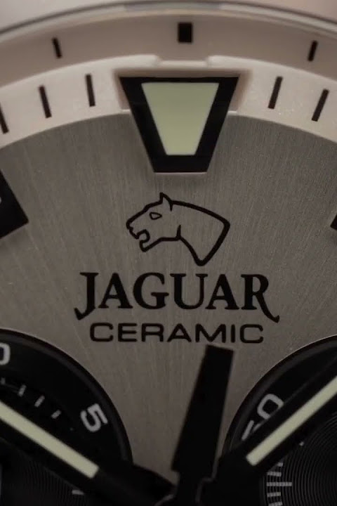 Zegarek męski Jaguar J1022/1 | Sklep z zegarkami Ponadczasowi.pl