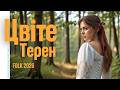 Цвіте Терен AI Modern Pop Electronic Version 2026 Modern Ukrainian Folk Project