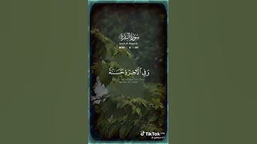 مقطع من سورة البقرة بصوت ياسر الدوسري #قران_كريم #المصحف #duet #اكسبلور #الرحمن #تيك_توك  #لايك