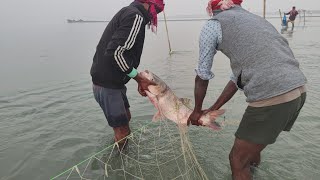 Today we caught a very big fish with a big net. Best fishing video #fishhunting2