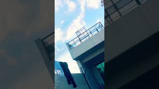 Kabutar Nikal He Aya Upar Sy Akhir