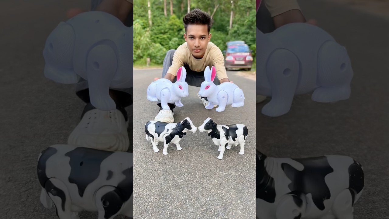 Распаковка пульта дистанционного управления 2 Ta Rabbit And 2 Ta Cow Ke