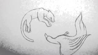 Metamorphosis Exercise