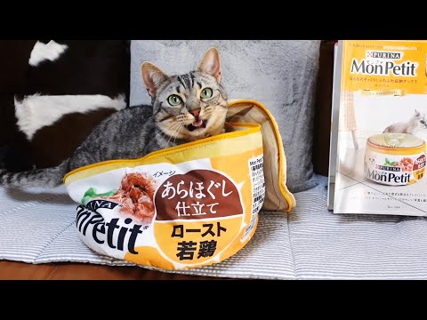 開梱動画】猫缶みたいな収納ボックスにちゃっかり入っちゃった短足猫