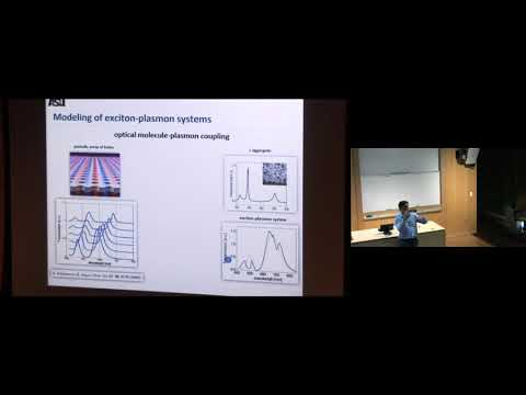 Colloquium: Maxim Sukharev - Exciton-Plasmon Nanosystems
