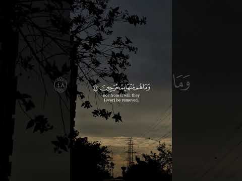 ناصر القطامي