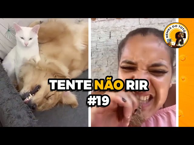 Vídeos ENGRAÇADOS 2023 do WhatsApp - Tente Não Rir Memes - #20 