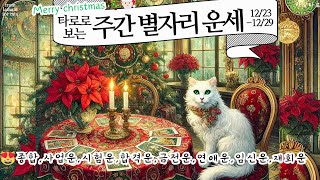 [타로/종합운]타로로 보는 주간 별자리운세(종합,사업운,시험운,합격운,금전운,연애운,재회운 등)12/23-12/29🎅🎄