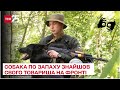 🐶💔 До сліз: службовий собака пам’ятав запах свого товариша і знайшов його на передовій