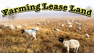HOW TO FIND LEASE LAND FOR FARMING & RANCHING (step-by-step)  Micro Ranching FOR PROFIT Sheep CATTLE screenshot 5