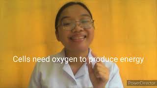 Hypovolemic Shock (Joannamil Faith Palatan BSN-4D