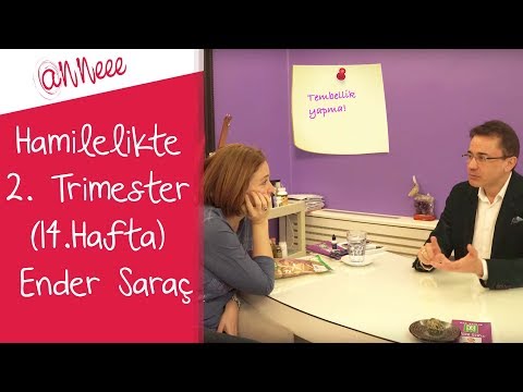 Hamilelikte 2. Trimester (14.Hafta) | Ender Saraç