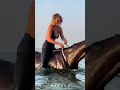 Attractive Girl Swimming With Horses شنا دختر جذاب با اسب Horse Animals Girl دختر حصان Attractive Girl Swimming With Horses شنا دختر جذاب با اسب Horse Animals Girl دختر حصان