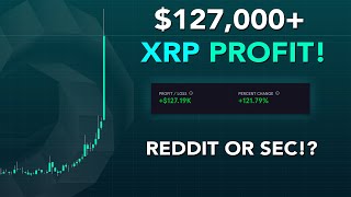 127 000 Profit On Xrp Ripple Labs File Comeback To Sec Reddit Pump And Dumps Planned Youtube